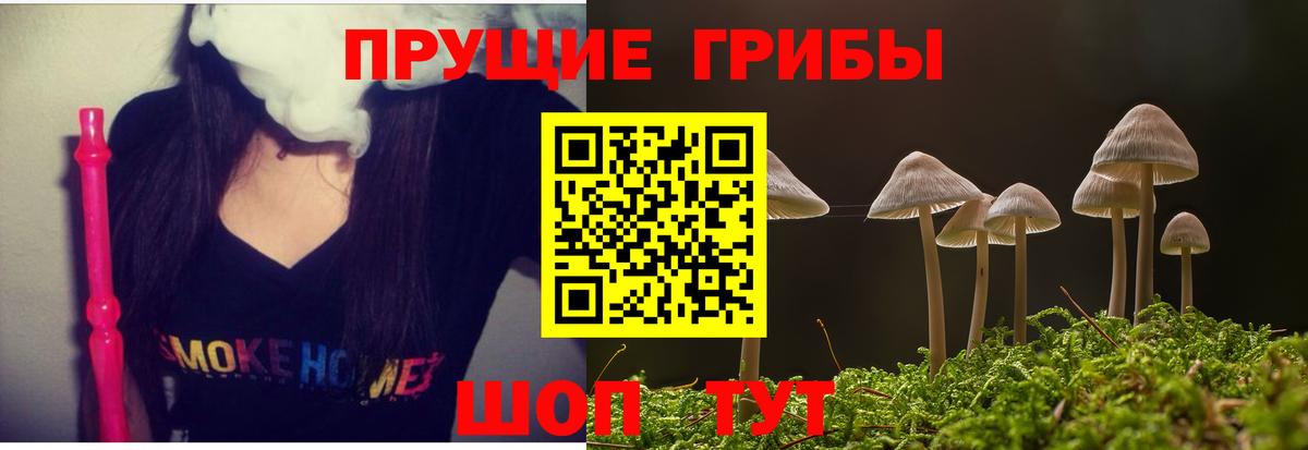 Галлюциногенные грибы прущие грибы  Вход с VPN  Курчалой 