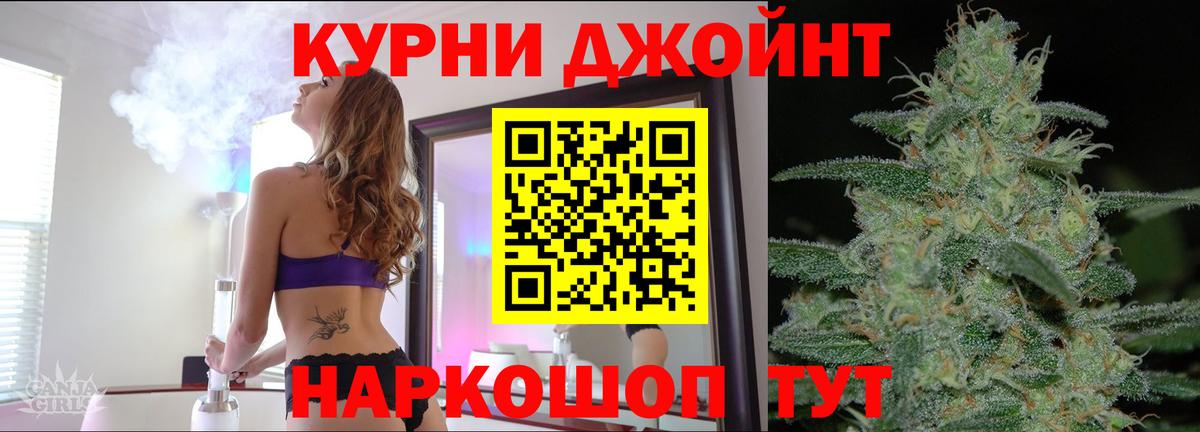 Конопля индика Курчалой